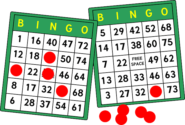 hra bingo tiket