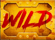 wild symbol 100 zombies