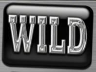 Symbol Wild na automatu More Fresh Fruits