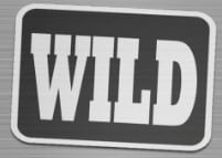 fresh fruits wild symbol