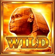 wild symbol v automatu around the world